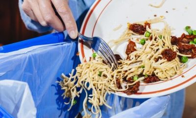 Ministro da Educação admite rever modelo das refeições escolares face à pressão financeira