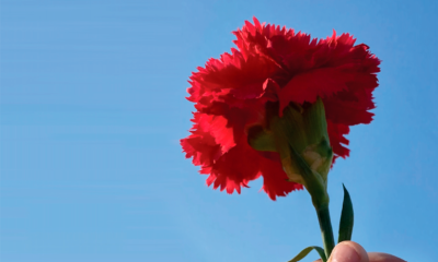 Santarém celebra a Liberdade com espetáculo “ABRIR ABRIL” na ex-EPC