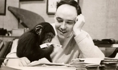 Morreu Desmond Morris, o zoólogo que confiou o seu conhecimento à U.Porto