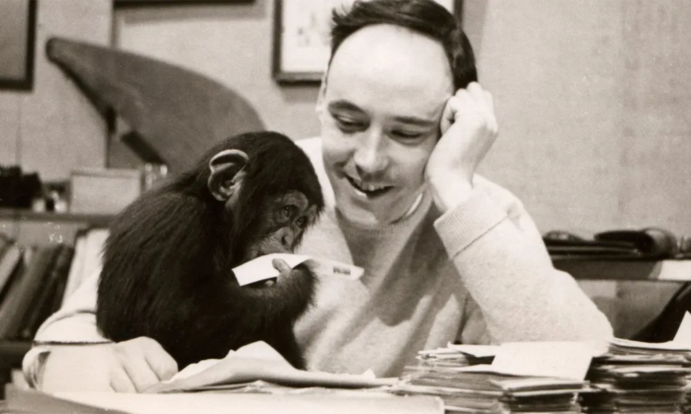 Morreu Desmond Morris, o zoólogo que confiou o seu conhecimento à U.Porto