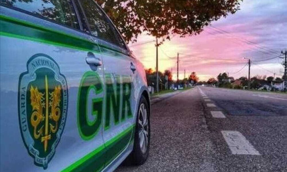 Operação “Campo Seguro” da GNR termina com 47 detidos e apreensão de nove toneladas de produtos agrícolas