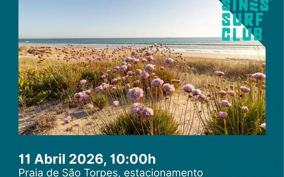 Voluntários Mobilizam-se para Limpeza da Praia de São Torpes