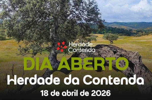 Moura promove Dia Aberto na Herdade da Contenda com foco na natureza e património