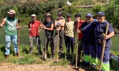 Odemira planta 400 árvores para reforçar a recuperação ecológica do Rio Mira
