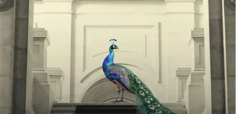 Beja: Pax Julia exibe documentário “O Palácio de Cidadãos” dia 7 de abril