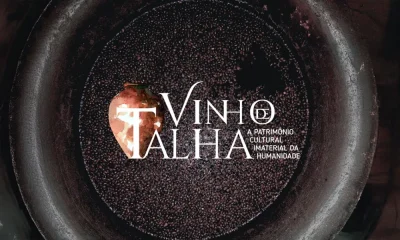 Vidigueira reativa candidatura do Vinho de Talha a Património da UNESCO