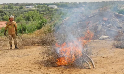 Arronches sensibiliza população para a prevenção de incêndios florestais