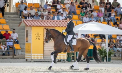 Leilão de Alter Real fatura 72.500 euros com venda de seis cavalos Lusitanos