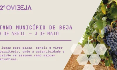 Beja apresenta na Ovibeja stand imersivo dedicado ao vinho e à identidade local
