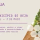 Beja apresenta na Ovibeja stand imersivo dedicado ao vinho e à identidade local