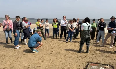 Ocean Alive apresenta resultados de 2025 e reforça proteção do Estuário do Sado