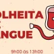 Portalegre: Campus Politécnico acolhe colheita de sangue solidária a 12 de maio