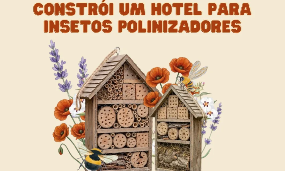 Dia Mundial da Terra: Quercus vai premiar os melhores “hotéis” de insetos polinizadores construídos por escolas e cidadãos