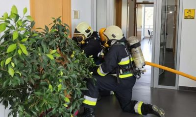 Agrupamento de Escolas e meios de proteção civil locais realizaram exercício que…