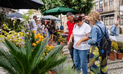 15.ª edição do Flores & Sabores transforma centro histórico de Penafiel num jardim ao ar livre