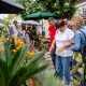 15.ª edição do Flores & Sabores transforma centro histórico de Penafiel num jardim ao ar livre