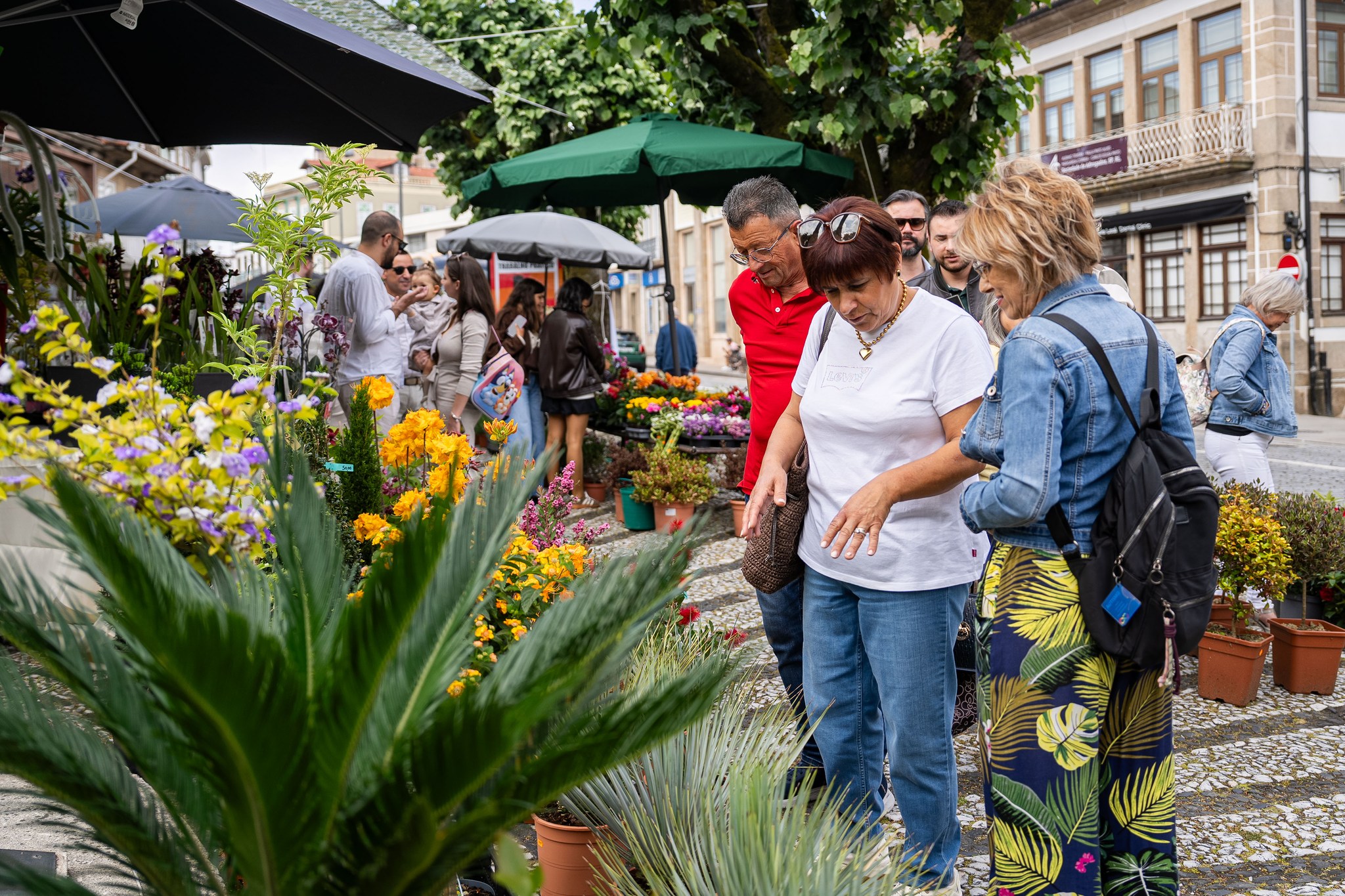 15.ª edição do Flores & Sabores transforma centro histórico de Penafiel num jardim ao ar livre