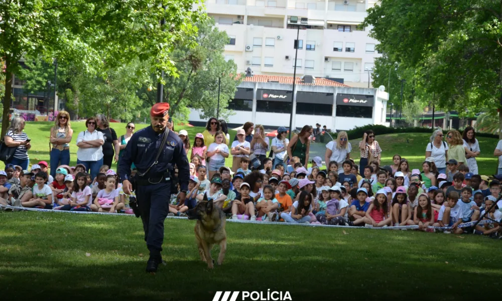 PSP | POLÍCIA SEMPRE PRESENTE

O Comando Distrital da PSP de Portalegre, informa…