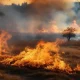 Serpa: Incêndio agrícola na Cova Funda mobilizou mais de 60 operacionais e já está em resolução
