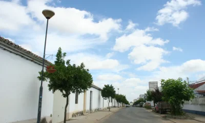 Município de Santiago do Cacém aprova projeto de reabilitação da Av. Manuel Joaquim Pereira em Ermidas-Sado – Câmara Municipal de Santiago do Cacém
