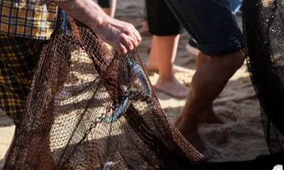 Nazaré participa no V Congresso da Pequena Pesca, em Peniche