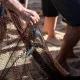 Nazaré participa no V Congresso da Pequena Pesca, em Peniche