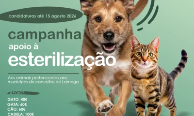 Esterilizar é cuidar!