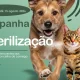 Esterilizar é cuidar!