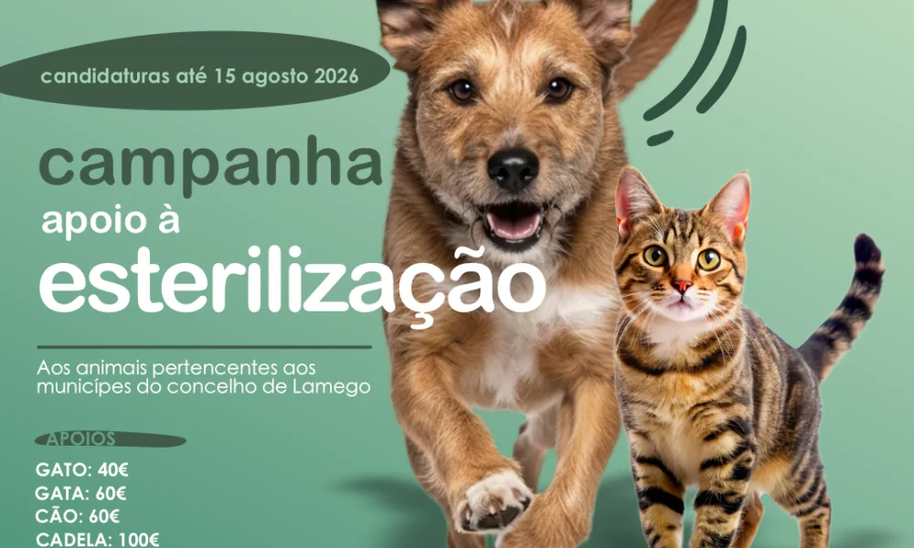 Esterilizar é cuidar!