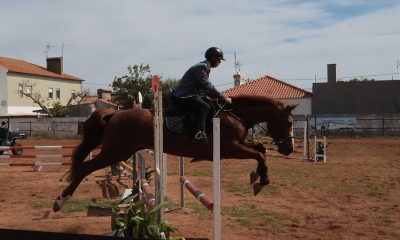 Equitação Militar atrai jovens