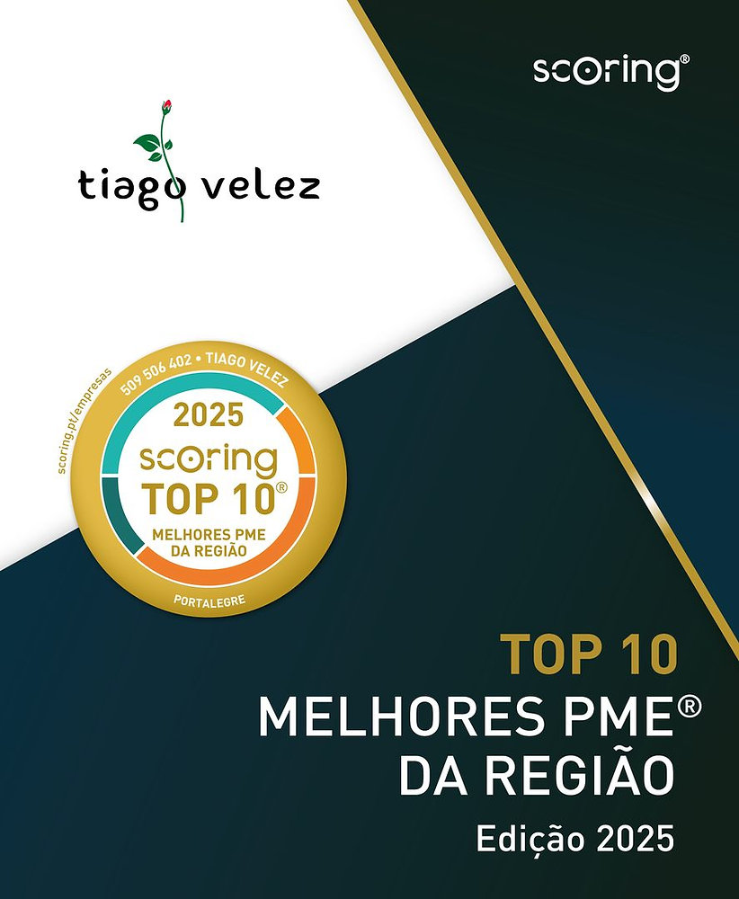 A TIAGO VELEZ, SOCIEDADE UNIPESSOAL, LDA. TOP 10 PME