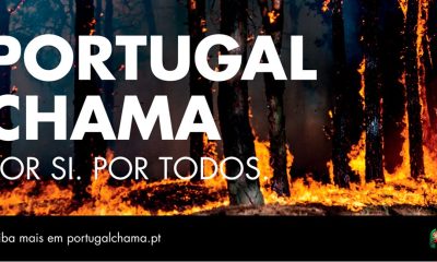 Ações de sensibilização sobre limpeza de terrenos e gestão de combustível

O Mun…