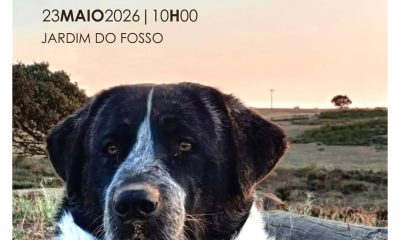 33.ª EXPOSIÇÃO CANINA NACIONAL DO ALTO ALENTEJO (CAC)

Dia 23 de maio (sábado), …