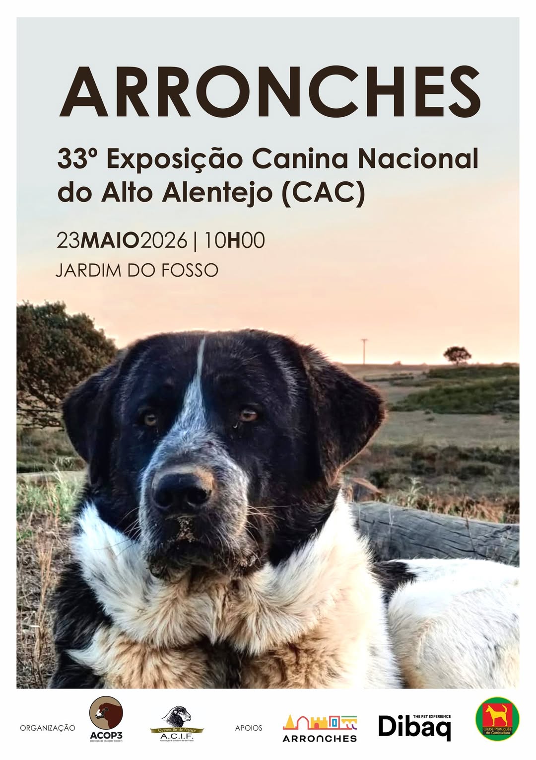 33.ª EXPOSIÇÃO CANINA NACIONAL DO ALTO ALENTEJO (CAC)

Dia 23 de maio (sábado), …