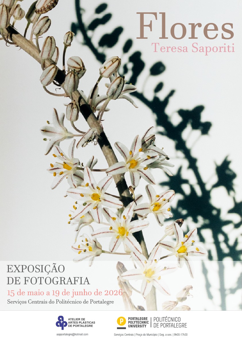 DIVULGAÇÃO DE ATIVIDADES A DECORRER NO CONCELHO