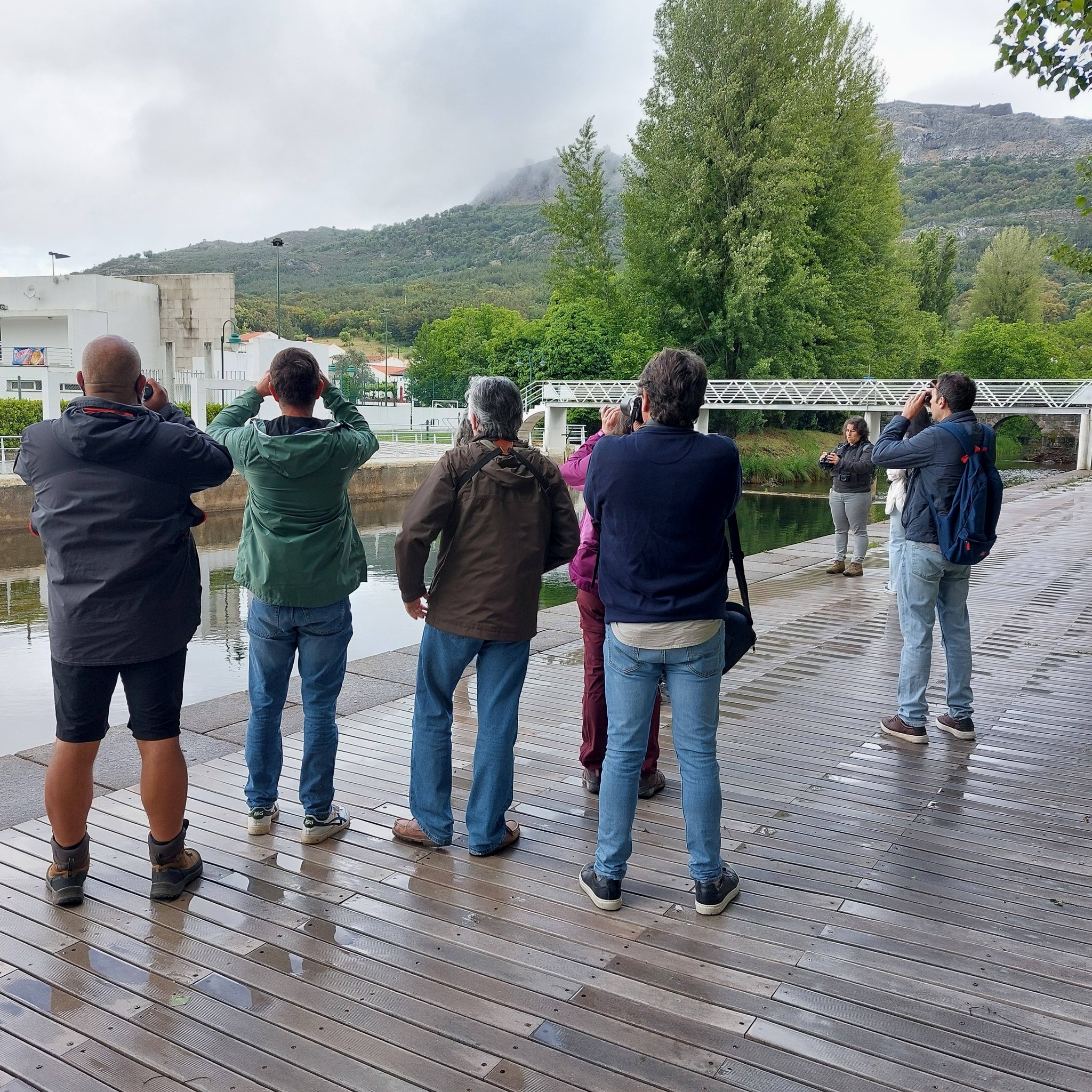 Curso de birdwatching do Turismo de Portugal com ação de formação em Marvão

O …