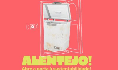 Tem grandes equipamentos elétricos ou eletrónicos para reciclar? 
A Gesamb ajuda…