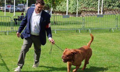 Município de Arronches adicionou fotos ao álbum: 33.ª Exposição Canina Nacional …