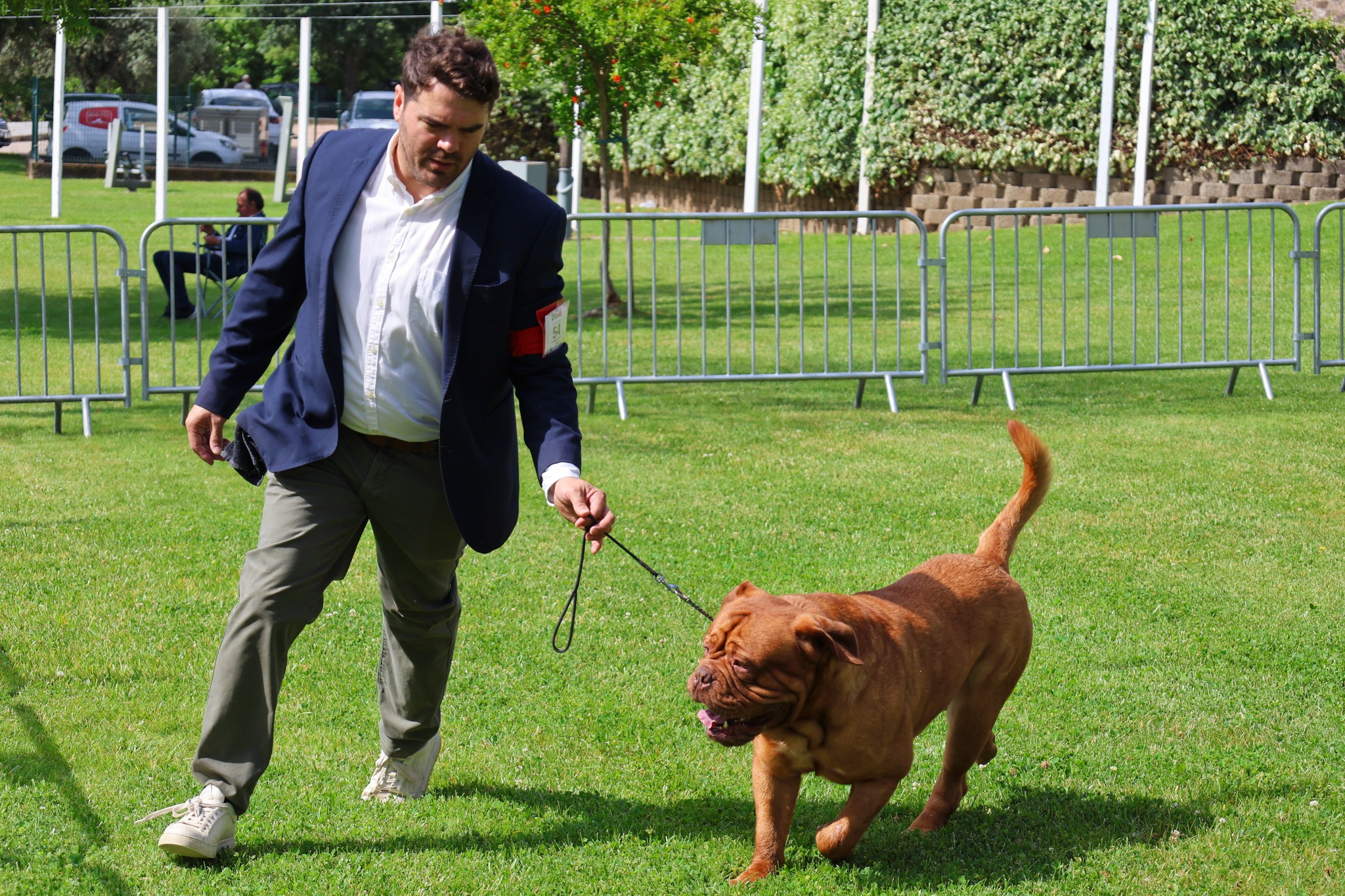 Município de Arronches adicionou fotos ao álbum: 33.ª Exposição Canina Nacional …