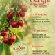 Junho em Portalegre tem sabor a Cerejas de São Julião

Apesar da época de colhei…