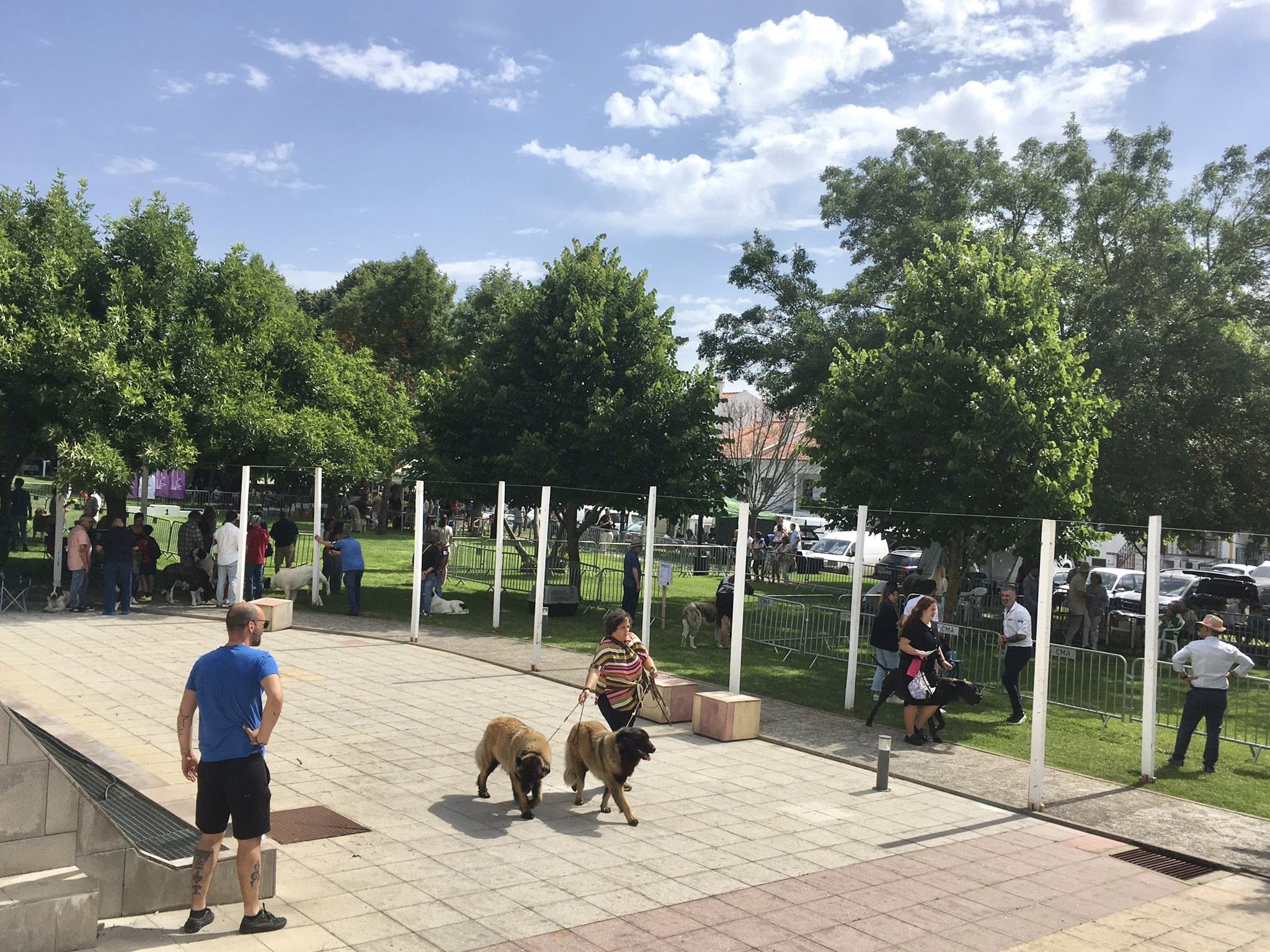 No Jardim do Fosso já estão a concurso centenas de exemplares de várias raças qu…