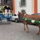 O Desfile das Carroças, outro dos momentos mais marcantes e tradicionais do Dia …