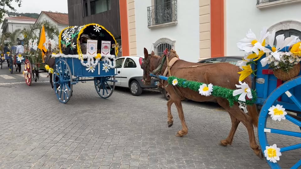 O Desfile das Carroças, outro dos momentos mais marcantes e tradicionais do Dia …