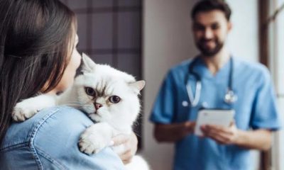 Campanha de Esterilização de Animais de Companhia 2026 

A Câmara Municipal de …