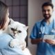 Campanha de Esterilização de Animais de Companhia 2026 

A Câmara Municipal de …