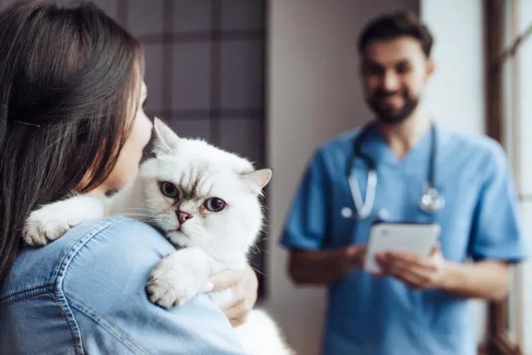 Campanha de Esterilização de Animais de Companhia 2026 

A Câmara Municipal de …