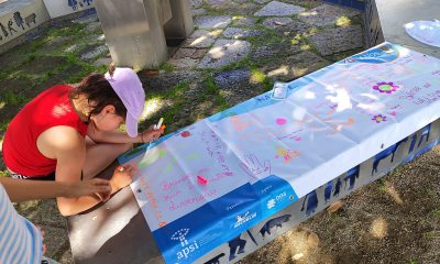 Penamacor assinalou Dia Nacional da Segurança Infantil

Penamacor assinalou o Di…