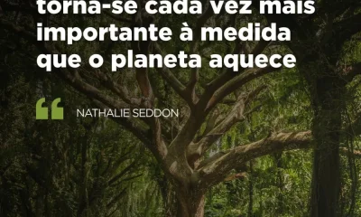 A biodiversidade pode ser uma das maiores vítimas do agravamento das alterações …