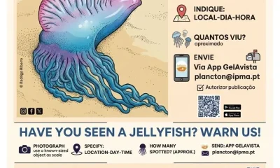 Ajude-nos a monitorizar o nosso Mar, torne-se um cientista cidadão!

Sabia que …