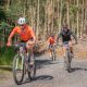 BTT Rio Arda volta a Castelo de Paiva com percursos desafiantes e promoção do turismo de natureza
